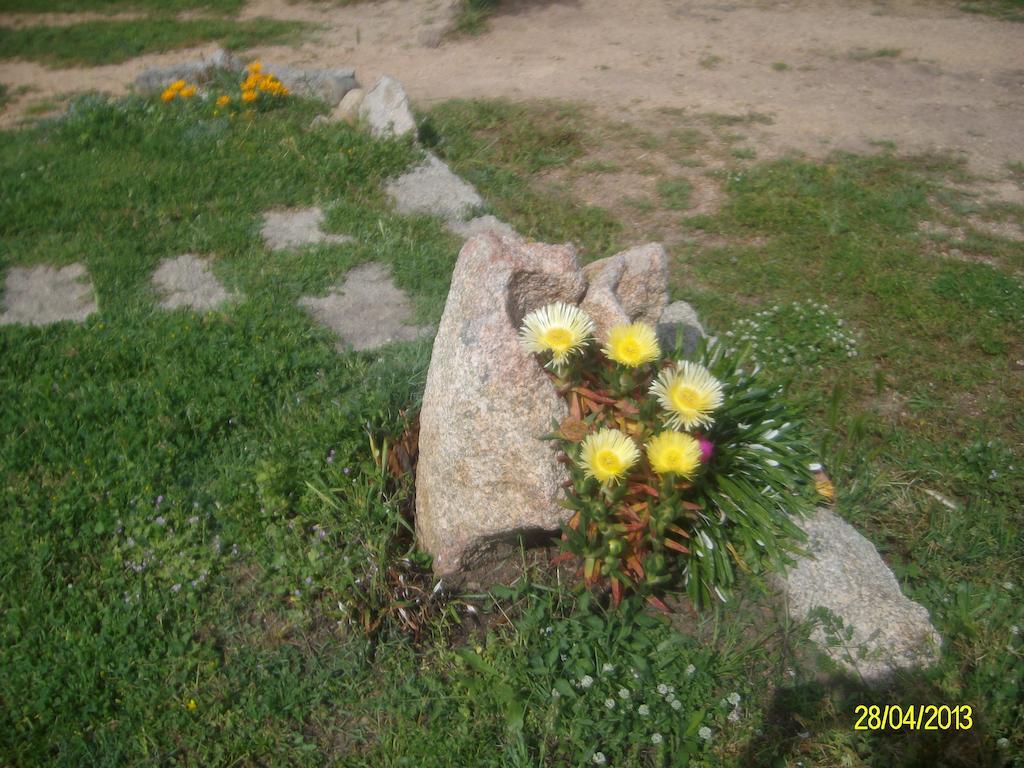 아르자케나 Agriturismo Spridda B&B 외부 사진