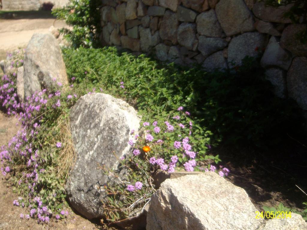 아르자케나 Agriturismo Spridda B&B 외부 사진